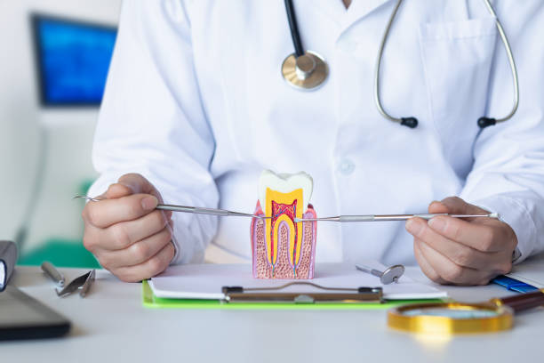 Best Emergency Wisdom Tooth Extraction in Highlandville, MO